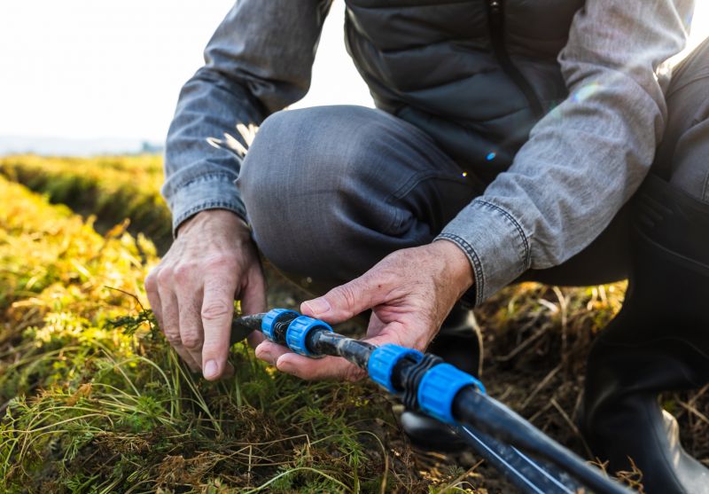 Backflow Sprinkler Repair