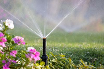 Damaged Sprinkler Repair in Aiken, SC
