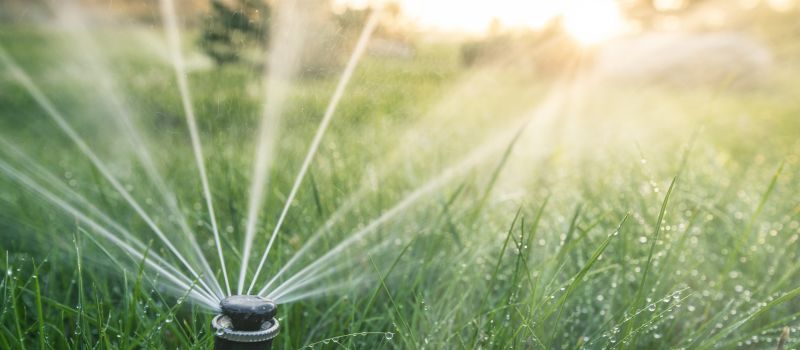 Grass Sprinkler Repair in Aiken, SC