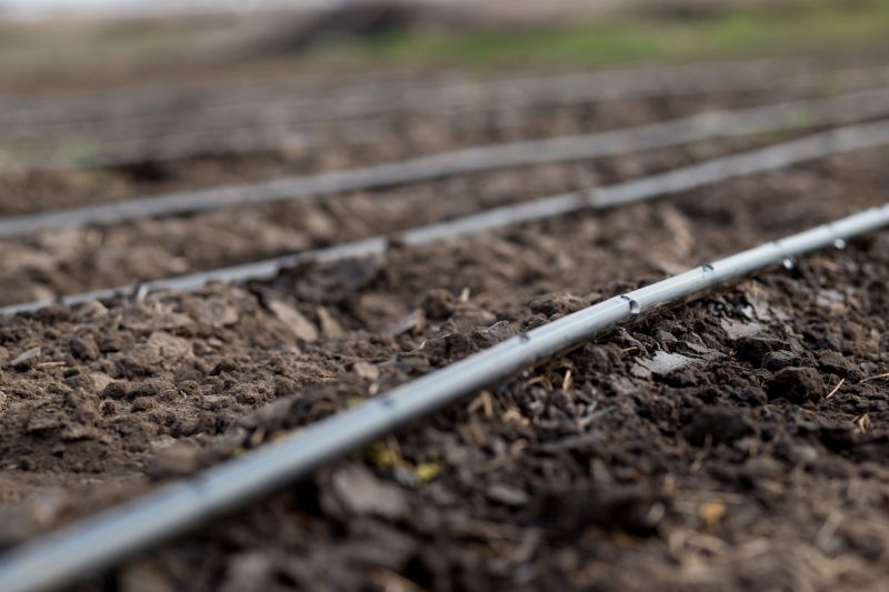 Inground Irrigation Service in Ventura County, CA