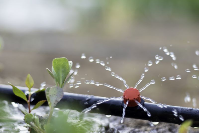 Plant Irrigation Installation in Ventura County, CA