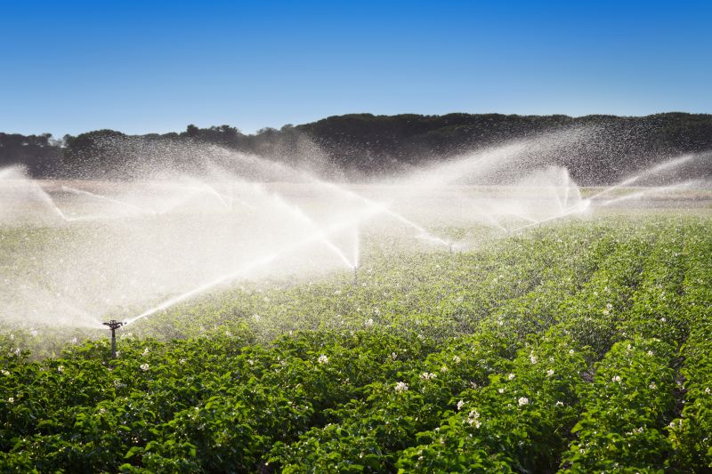 Watering System Installation in Aiken, SC