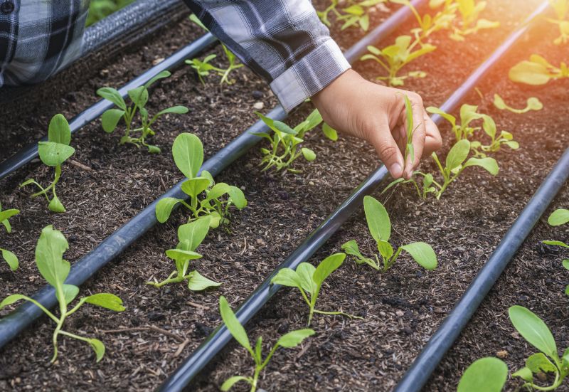 Aiken, SC