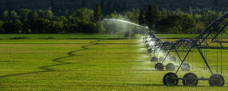 Lawn Irrigation Installation in Honolulu, HI